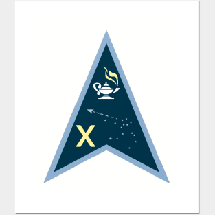 Space Force Delta 10 Logo Posters and Art